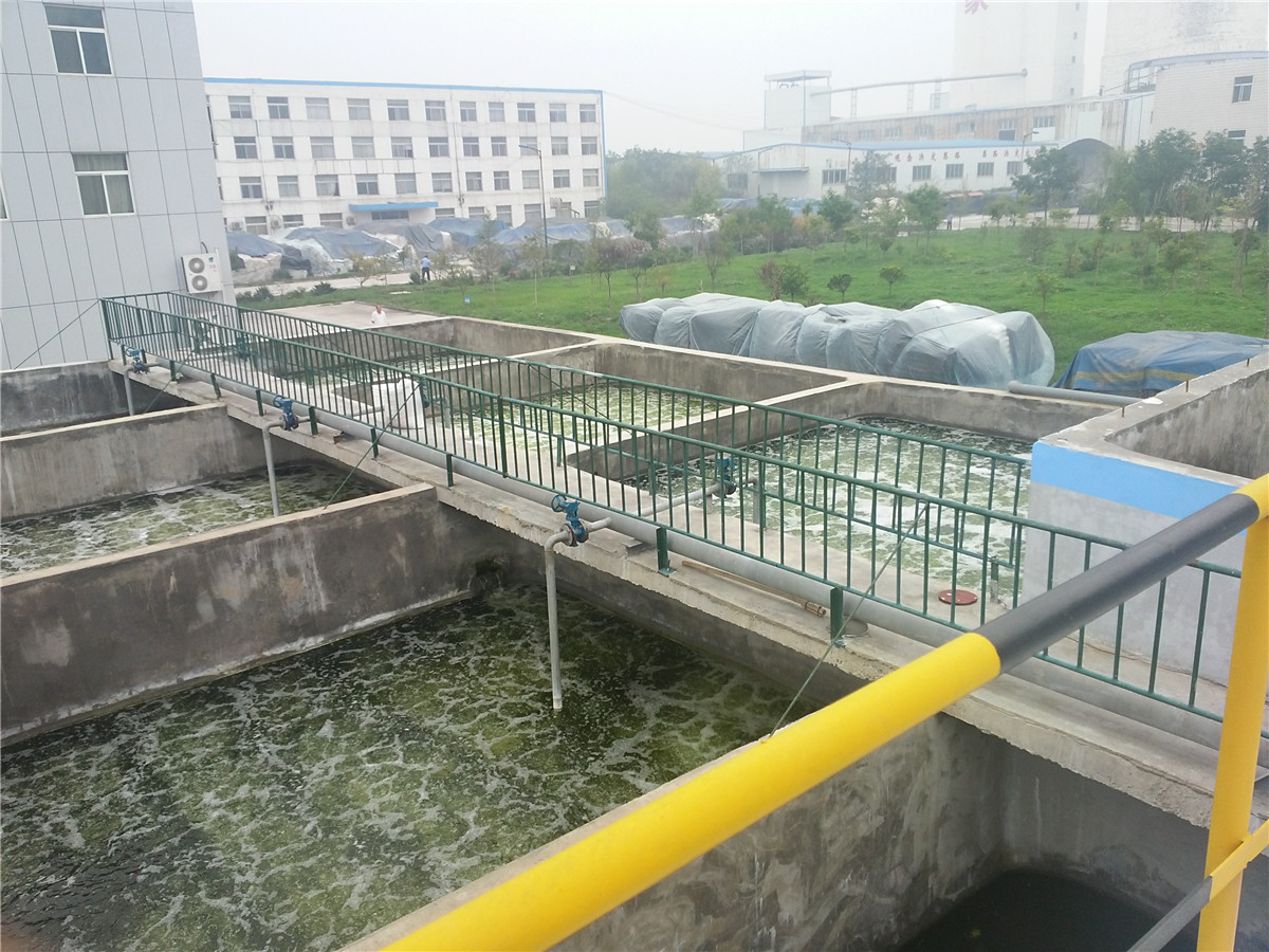 香港六盒宝典全年资料